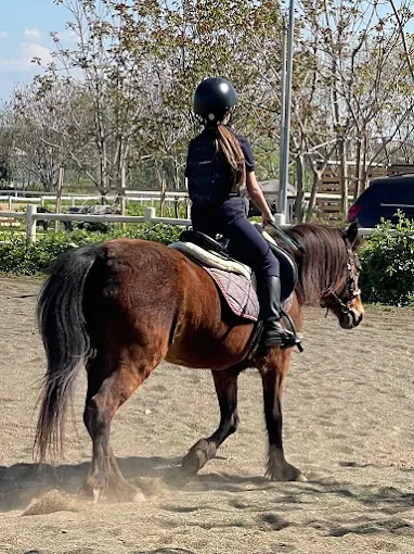 Allieva di Equestrians Academy al trotto su un pony baio, con casco e stivali, nel campo del maneggio a Roma